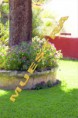 /album/galeria-fotografica/sin-titulo-1-jpg/